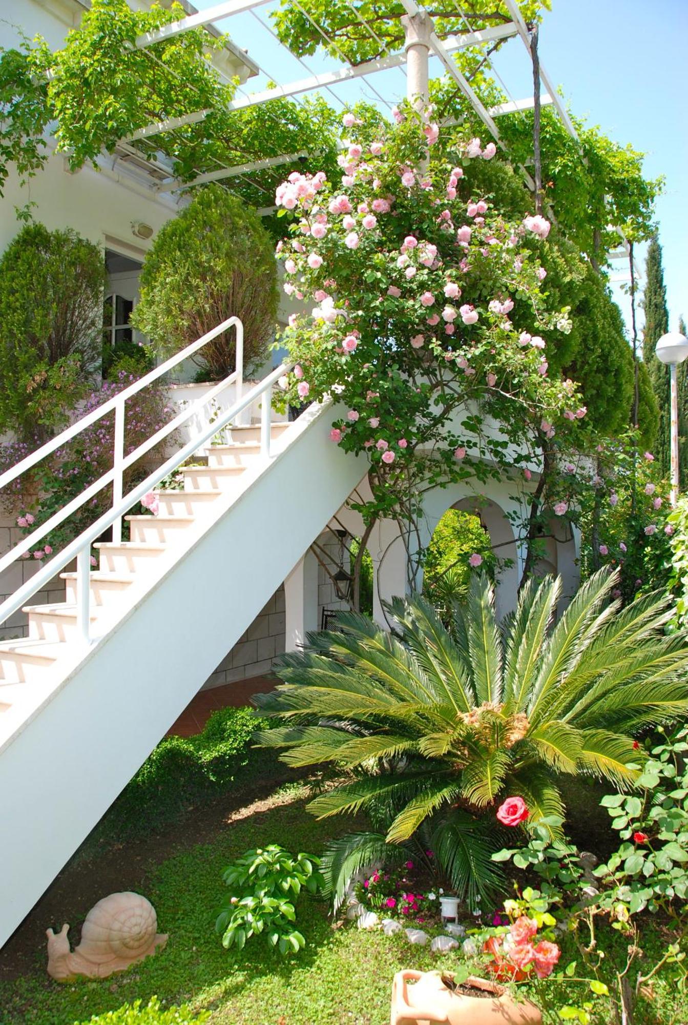 Villa Mediterranea Mlini Extérieur photo