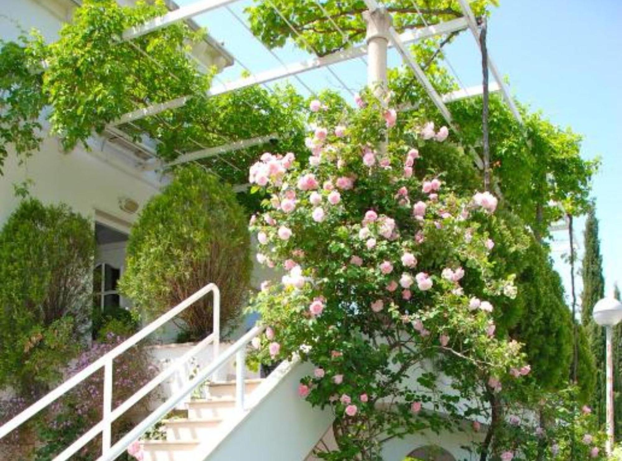 Villa Mediterranea Mlini Extérieur photo